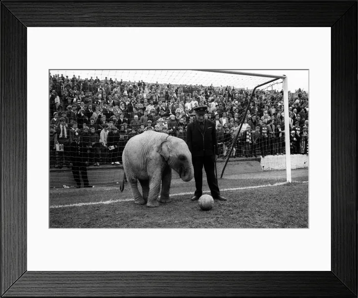 Framed Print : During the Charlton v Portsmouth game at the Valley Framed Print : During the Charlton v Portsmouth game at the Valley