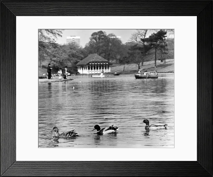 Framed Print : Sefton Park, Liverpool, Merseyside, a 235 acre park, opened to the public in 1872 Framed Print : Sefton Park, Liverpool, Merseyside, a 235 acre park, opened to the public in 1872