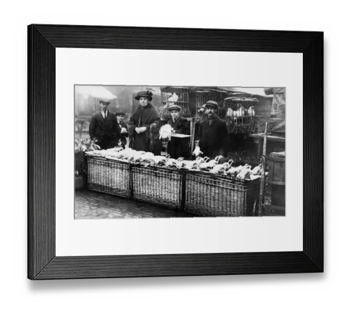 Framed Print : Turn of the century picture of Newcastles Big Market when livestock was on sale each Framed Print : Turn of the century picture of Newcastles Big Market when livestock was on sale each