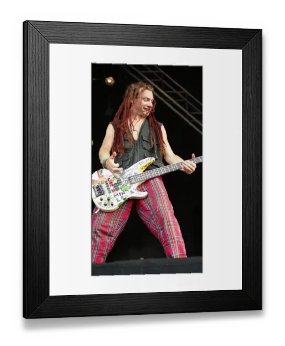 Framed Print : Levellers, T in the Park Music Festival, Strathclyde Country Park, Lanarkshire, Scotland