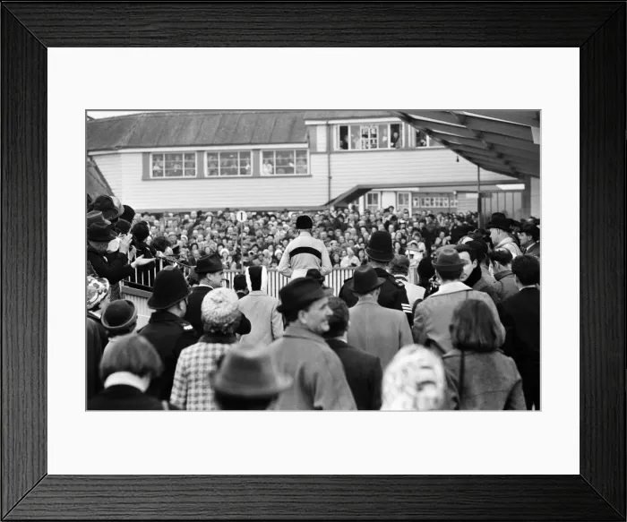 Framed Print : Cheltenham Gold Cup, Thursday 17th March 1966. Arkle and Pat Taaffe after winning Framed Print : Cheltenham Gold Cup, Thursday 17th March 1966. Arkle and Pat Taaffe after winning