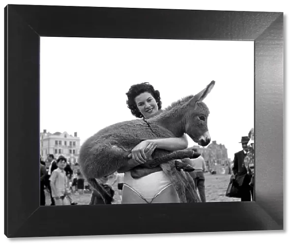 Young girl holding a baby donkey. Newquay, Cornwall. 7th July 1959