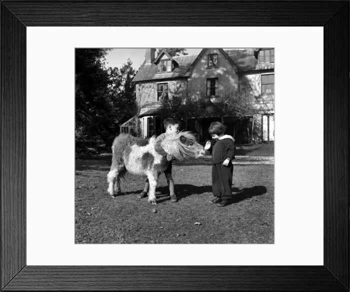 Framed Print : Sally and George Stephanson with Rosetta the miniature pony Framed Print : Sally and George Stephanson with Rosetta the miniature pony