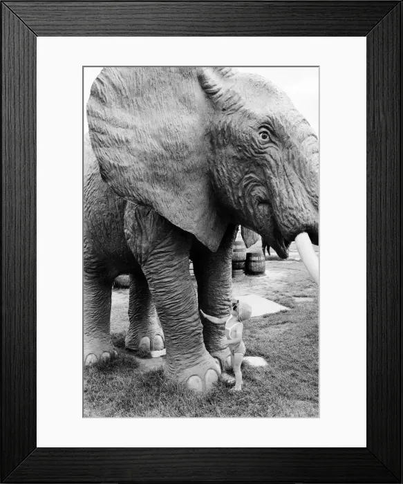 Framed Print : Young children playing between the legs of a model elephant statue at an adventure Framed Print : Young children playing between the legs of a model elephant statue at an adventure