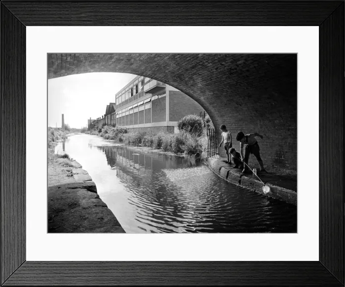 Framed Print : These young lads are having fun fishing with a net in the Coventry Canal at the Cash Framed Print : These young lads are having fun fishing with a net in the Coventry Canal at the Cash