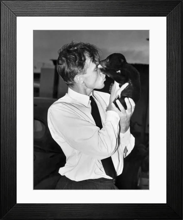 Framed Print : David Attenborough with a 6-weeks-old bear cub. Circa 1955 P016981 Framed Print : David Attenborough with a 6-weeks-old bear cub. Circa 1955 P016981