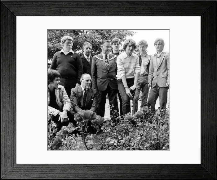 Framed Print : Things are looking rosy for the half dozen teenagers won began their first full time job Framed Print : Things are looking rosy for the half dozen teenagers won began their first full time job