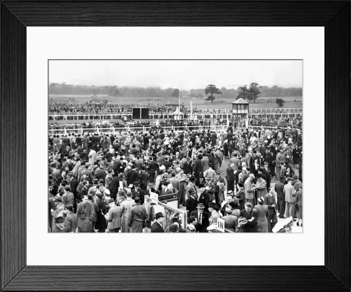 Framed Print : This was plate day: A little sunshine, and a lot of rain Framed Print : This was plate day: A little sunshine, and a lot of rain