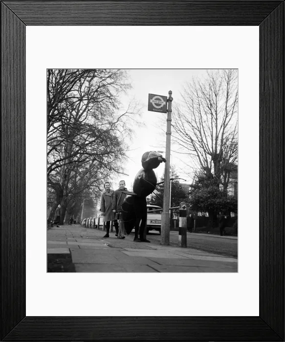 Framed Print : A Zarbi, from the Dr Who television serial (written by Bill Struttonwill) Framed Print : A Zarbi, from the Dr Who television serial (written by Bill Struttonwill)