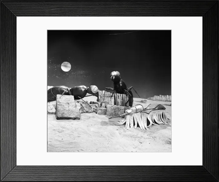 Framed Print : The Dr Who television serial written by Bill Struttonwill, The Web Planet Framed Print : The Dr Who television serial written by Bill Struttonwill, The Web Planet