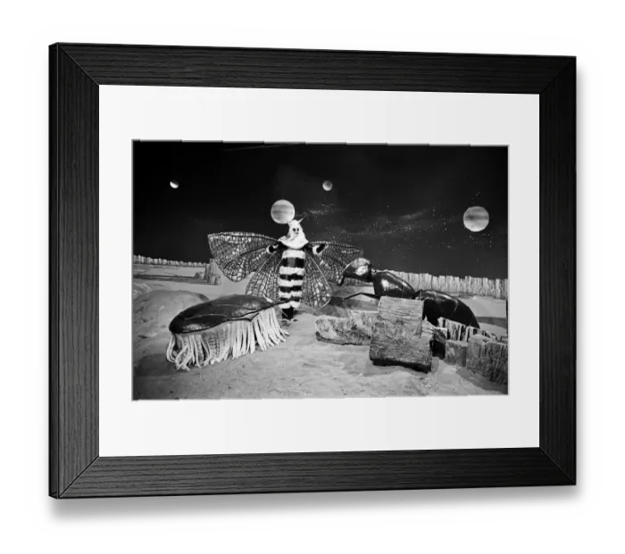 Framed Print : The Dr Who television serial written by Bill Struttonwill, The Web Planet
