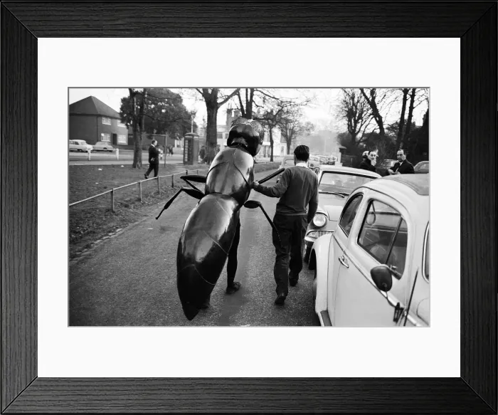 Framed Print : A Zarbi, from the Dr Who television serial (written by Bill Struttonwill) Framed Print : A Zarbi, from the Dr Who television serial (written by Bill Struttonwill)