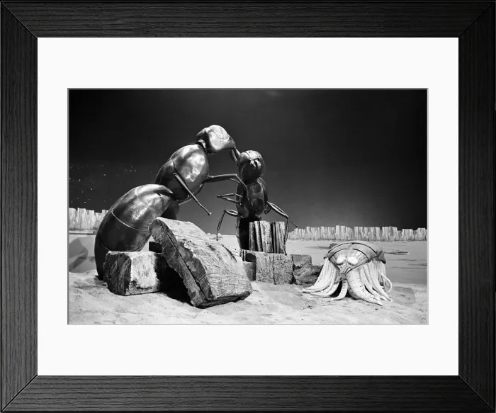 Framed Print : The Dr Who television serial written by Bill Struttonwill, The Web Planet Framed Print : The Dr Who television serial written by Bill Struttonwill, The Web Planet