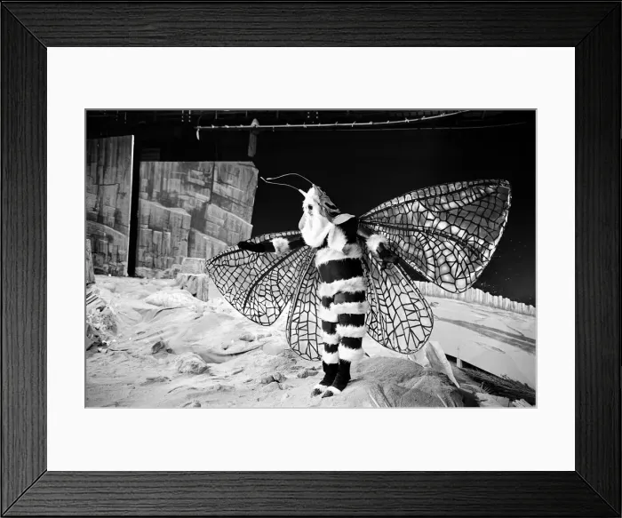 Framed Print : The Dr Who television serial written by Bill Struttonwill, The Web Planet