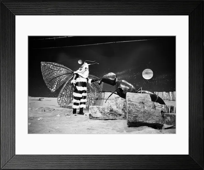 Framed Print : The Dr Who television serial written by Bill Struttonwill, The Web Planet Framed Print : The Dr Who television serial written by Bill Struttonwill, The Web Planet