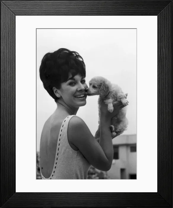 Framed Print : Diane Westbury, 21 from Cheshire, Heat Winner, Miss Great Britain Competition, Morecambe Framed Print : Diane Westbury, 21 from Cheshire, Heat Winner, Miss Great Britain Competition, Morecambe