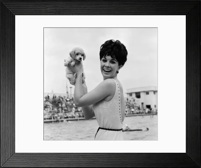 Framed Print : Diane Westbury, 21 from Cheshire, Heat Winner, Miss Great Britain Competition, Morecambe Framed Print : Diane Westbury, 21 from Cheshire, Heat Winner, Miss Great Britain Competition, Morecambe