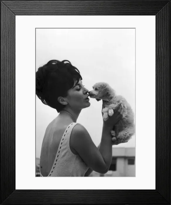 Framed Print : Diane Westbury, 21 from Cheshire, Heat Winner, Miss Great Britain Competition, Morecambe Framed Print : Diane Westbury, 21 from Cheshire, Heat Winner, Miss Great Britain Competition, Morecambe