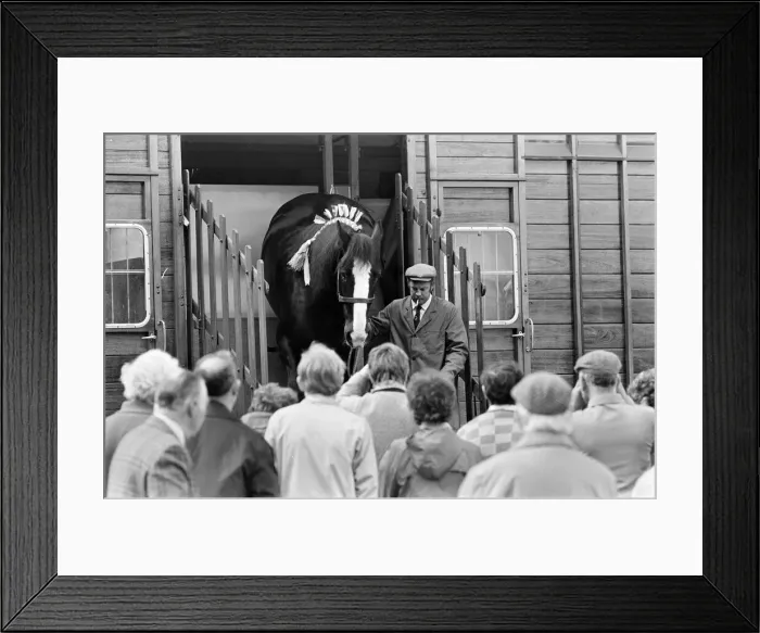 Framed Print : Liverpool May Horse Parade, Saturday 10th May 1986 Framed Print : Liverpool May Horse Parade, Saturday 10th May 1986