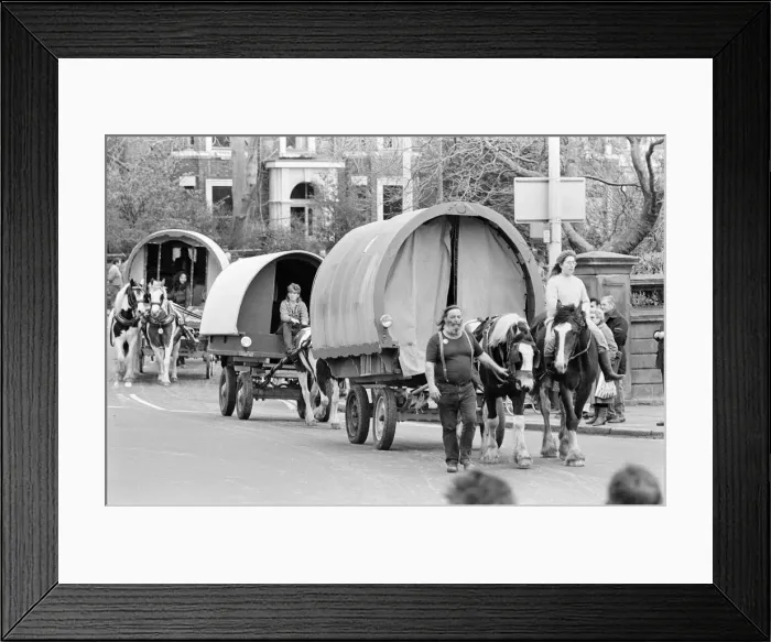 Framed Print : Liverpool May Horse Parade, 10th May 1986 Framed Print : Liverpool May Horse Parade, 10th May 1986