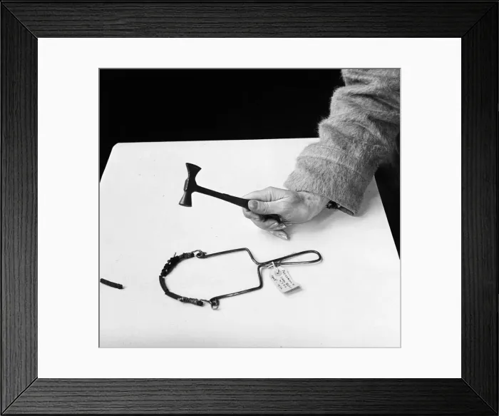 Framed Print : Militant equipment used by women Suffragettes during their campaign for the right to vote Framed Print : Militant equipment used by women Suffragettes during their campaign for the right to vote