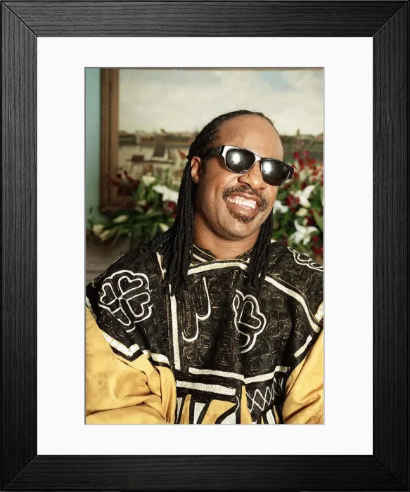 Framed Print : Stevie Wonder Songwriter Stevie Wonder 1993