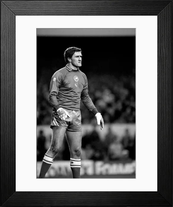 Framed Print : English League Division One match at Highbury. Arsenal 2 v Swansea City 1 Framed Print : English League Division One match at Highbury. Arsenal 2 v Swansea City 1