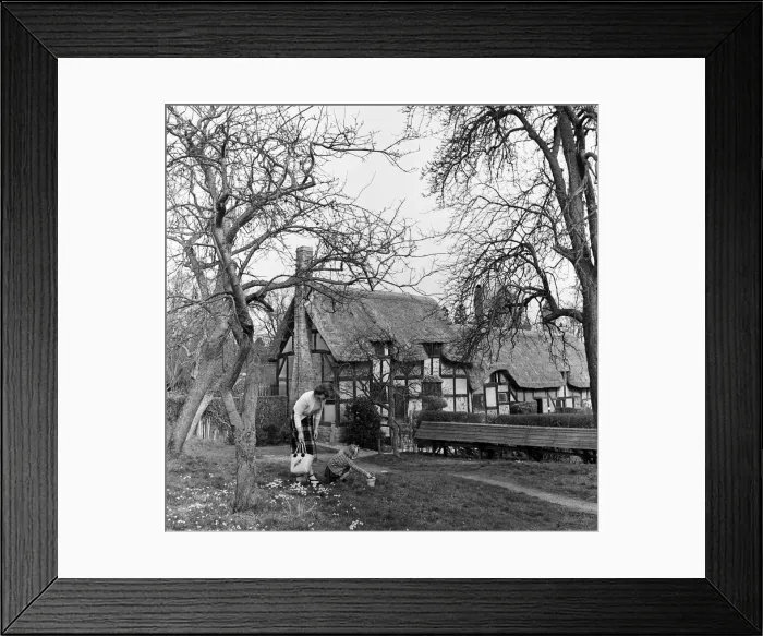 Framed Print : Anne Hathaways Cottage in Shottery, near Stratford-upon-Avon, Warwickshire Framed Print : Anne Hathaways Cottage in Shottery, near Stratford-upon-Avon, Warwickshire