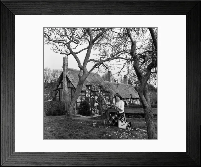 Framed Print : Anne Hathaways Cottage in Shottery, near Stratford-upon-Avon, Warwickshire Framed Print : Anne Hathaways Cottage in Shottery, near Stratford-upon-Avon, Warwickshire