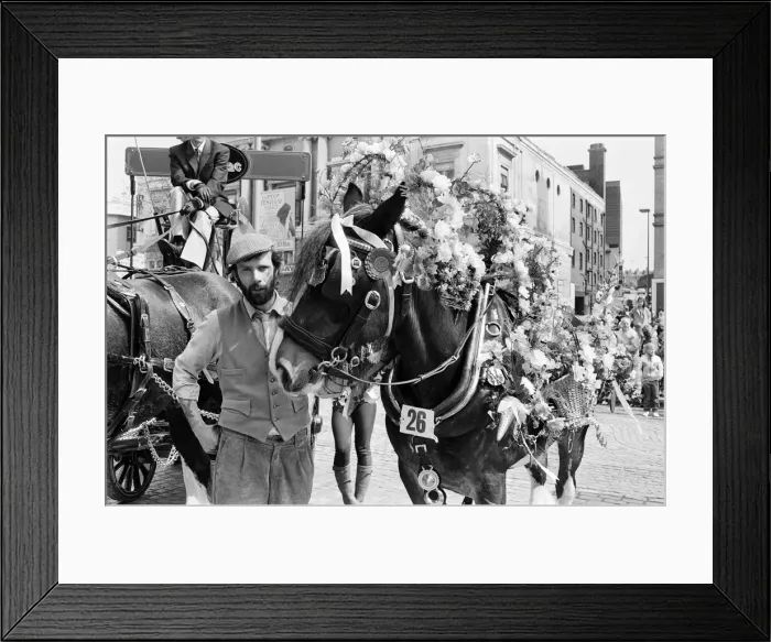 Framed Print : Liverpool May Horse Parade, City Centre, Liverpool, Saturday 9th May 1987 Framed Print : Liverpool May Horse Parade, City Centre, Liverpool, Saturday 9th May 1987