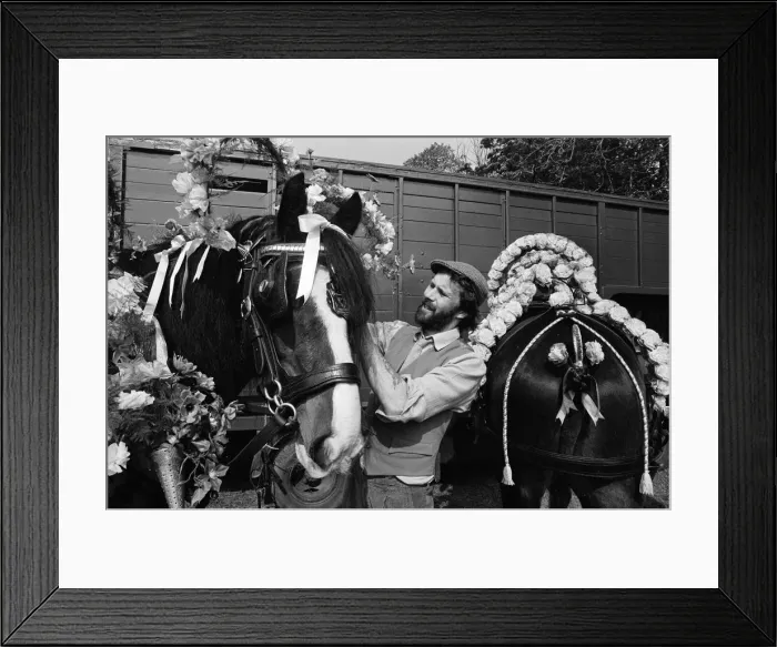 Framed Print : Liverpool May Horse Parade, Saturday 9th May 1987. Behind the scenes, Preparation Framed Print : Liverpool May Horse Parade, Saturday 9th May 1987. Behind the scenes, Preparation
