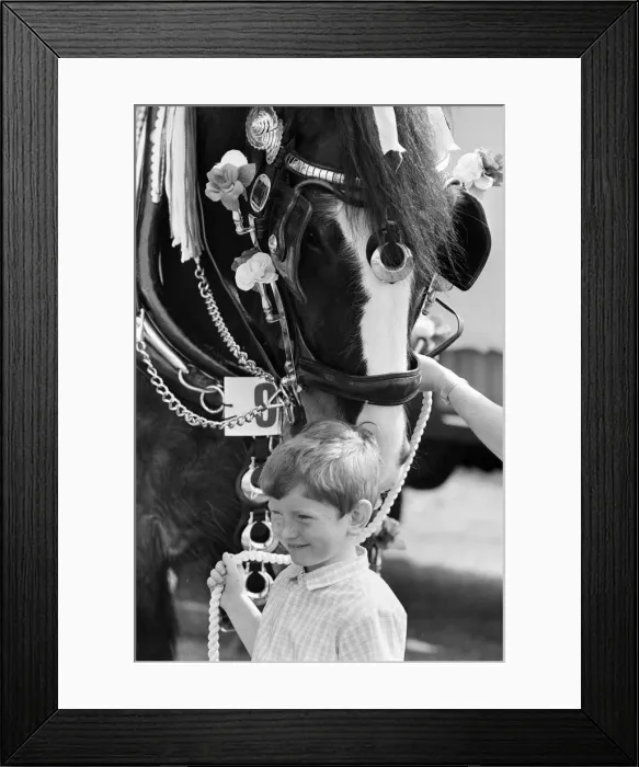 Framed Print : Liverpool May Horse Parade, Saturday 9th May 1987. Behind the scenes, Preparation