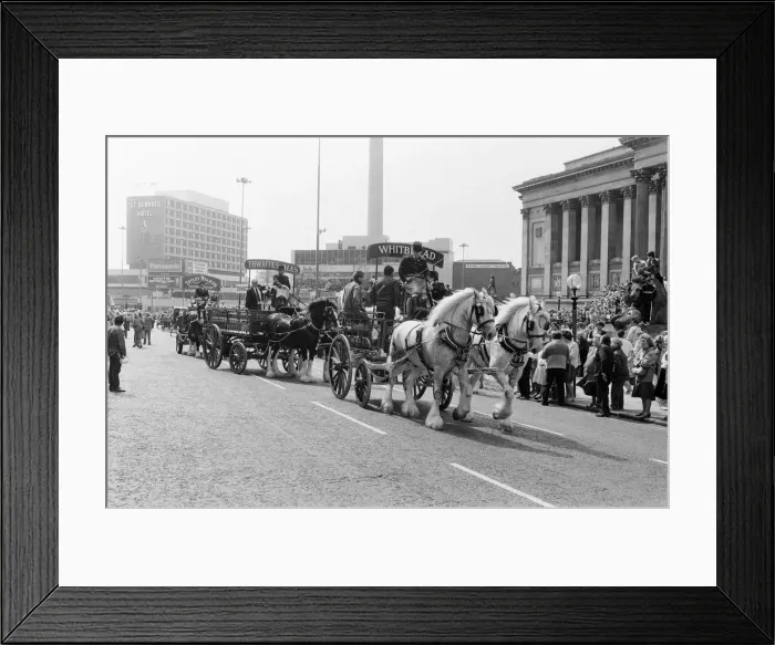 Framed Print : Liverpool May Horse Parade, City Centre, Liverpool, Saturday 9th May 1987 Framed Print : Liverpool May Horse Parade, City Centre, Liverpool, Saturday 9th May 1987