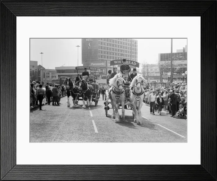 Framed Print : Liverpool May Horse Parade, City Centre, Liverpool, Saturday 9th May 1987 Framed Print : Liverpool May Horse Parade, City Centre, Liverpool, Saturday 9th May 1987