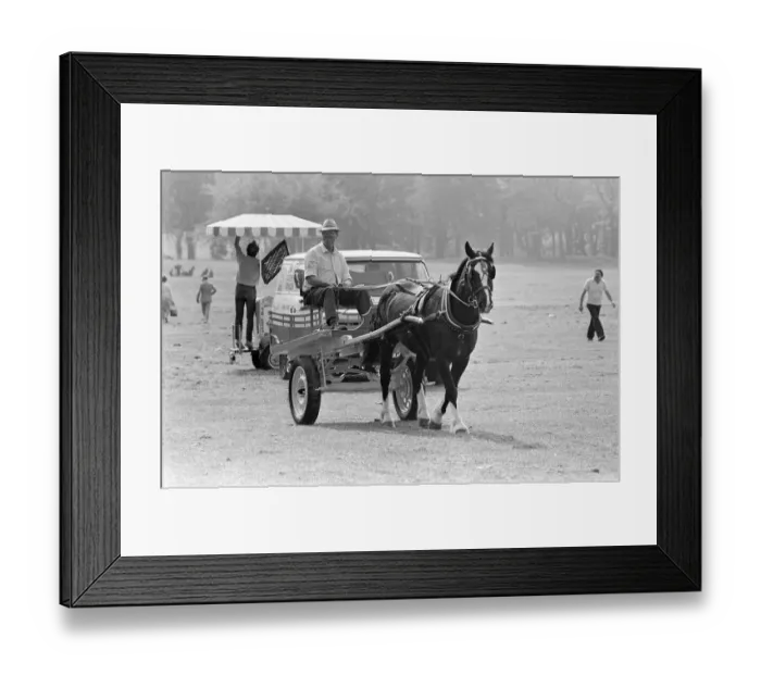 Framed Print : Liverpool May Horse Parade, Saturday 9th May 1987. Behind the scenes, Preparation