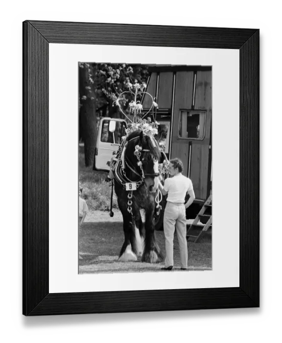Framed Print : Liverpool May Horse Parade, Saturday 9th May 1987. Behind the scenes, Preparation Framed Print : Liverpool May Horse Parade, Saturday 9th May 1987. Behind the scenes, Preparation