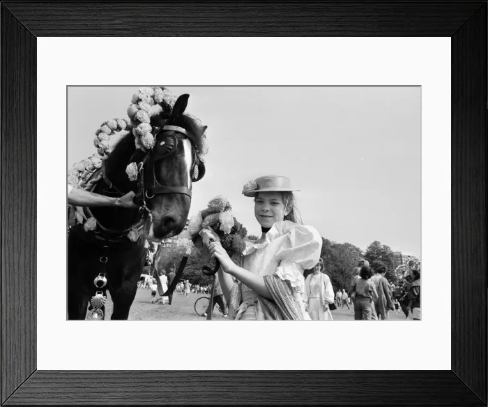 Framed Print : Liverpool May Horse Parade, Saturday 9th May 1987. Behind the scenes, Preparation Framed Print : Liverpool May Horse Parade, Saturday 9th May 1987. Behind the scenes, Preparation