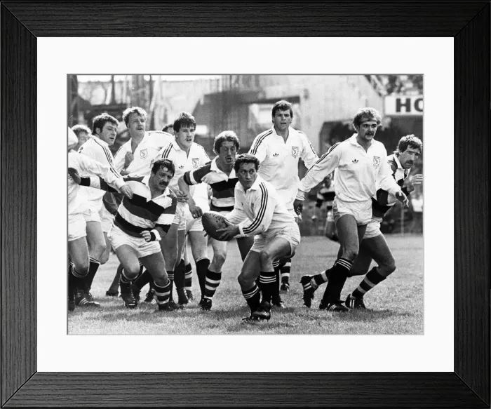 Framed Print : Welsh Rugby Union Final - Pontypool 18 - 6 Swansea. Scrum Half Huw Davies gets the ball