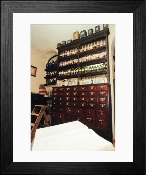 Framed Print : Stockton Preston Hall Museum. 13th January 1999. The museum has a ten year plan of Framed Print : Stockton Preston Hall Museum. 13th January 1999. The museum has a ten year plan of