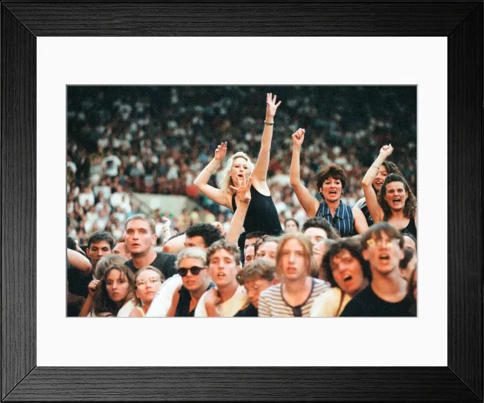 Framed Print : R. E. M. in concert at the Galpharm Stadium. 25th July 1995 Framed Print : R. E. M. in concert at the Galpharm Stadium. 25th July 1995
