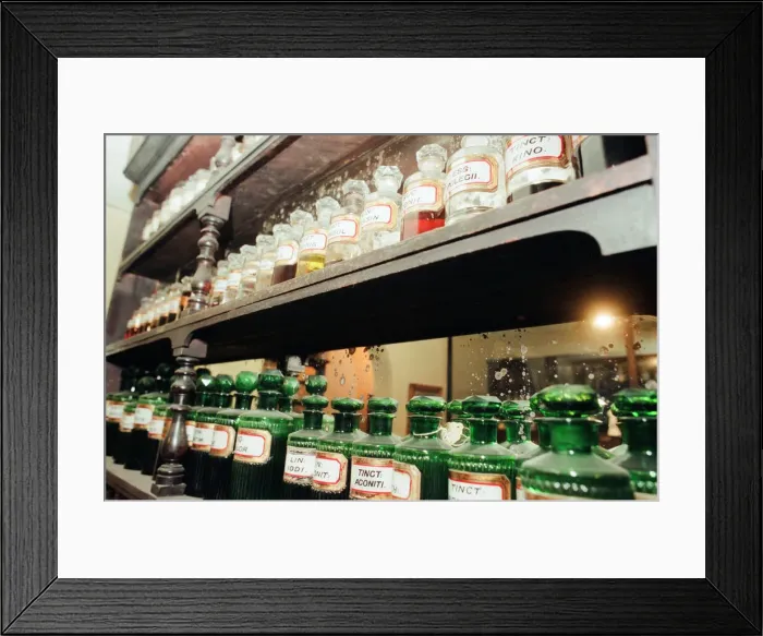 Framed Print : Stockton Preston Hall Museum. 13th January 1999. The museum has a ten year plan of