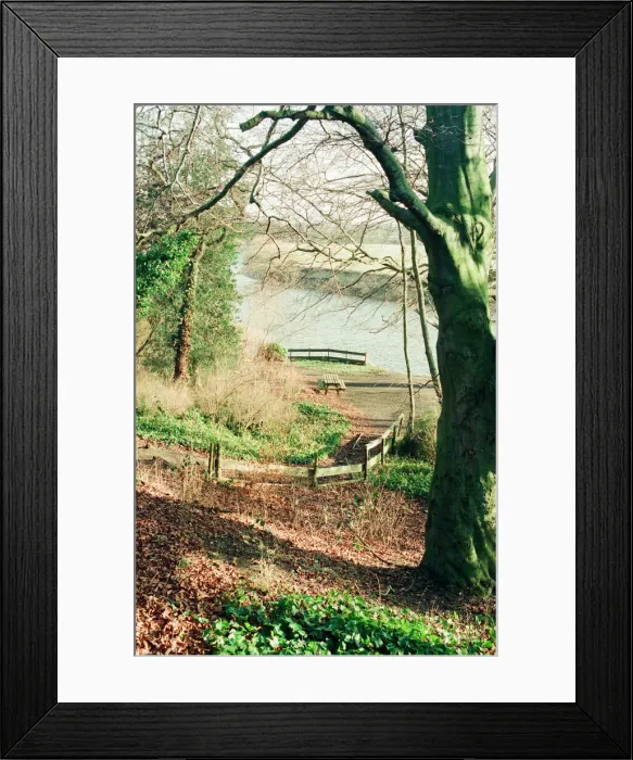 Framed Print : Views, Preston Park Hall, Museum & Grounds, Yarm Road, Eaglescliffe, Stockton on Tees Framed Print : Views, Preston Park Hall, Museum & Grounds, Yarm Road, Eaglescliffe, Stockton on Tees