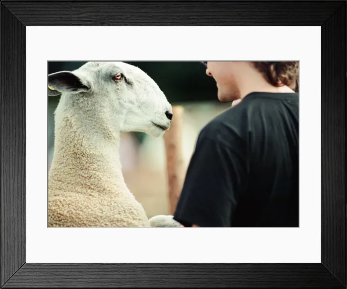 Framed Print : Agricultural Show Cleveland, 24th July 1993 Framed Print : Agricultural Show Cleveland, 24th July 1993