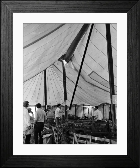 Framed Print : Agricultural Show Cleveland, 27th July 1985 Framed Print : Agricultural Show Cleveland, 27th July 1985