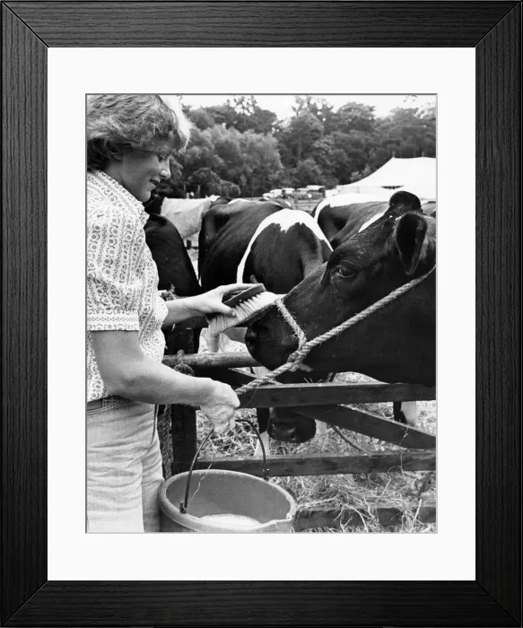 Framed Print : Agricultural Show Cleveland, 28th July 1979 Framed Print : Agricultural Show Cleveland, 28th July 1979