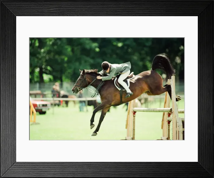 Framed Print : Agricultural Show Cleveland, 24th July 1993. Nicola Fletcher jumps high over the parallel Framed Print : Agricultural Show Cleveland, 24th July 1993. Nicola Fletcher jumps high over the parallel