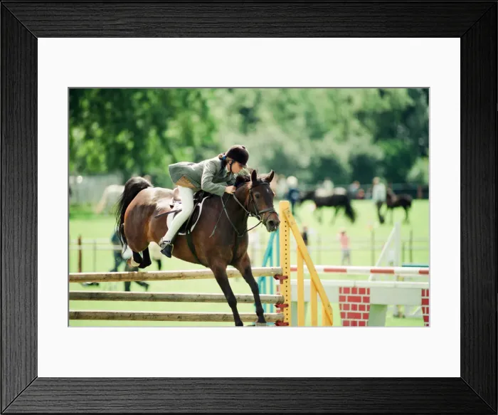 Framed Print : Agricultural Show Cleveland, 24th July 1993 Framed Print : Agricultural Show Cleveland, 24th July 1993
