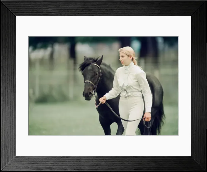 Framed Print : Agricultural Show Cleveland, 24th July 1993