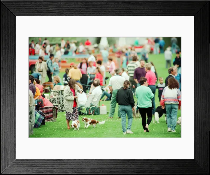 Framed Print : Agricultural Show Cleveland, 24th July 1993 Framed Print : Agricultural Show Cleveland, 24th July 1993