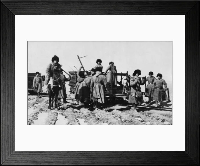 Framed Print : Russian army engineers seen here laying a track bed for a narrow gauge railway during Framed Print : Russian army engineers seen here laying a track bed for a narrow gauge railway during